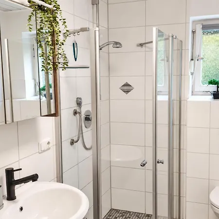 In - 12 Personen - Bayerischer Wald Apartment Grafenau (Bavaria)